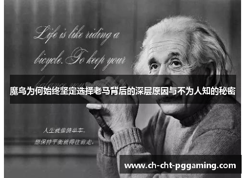 魔鸟为何始终坚定选择老马背后的深层原因与不为人知的秘密
